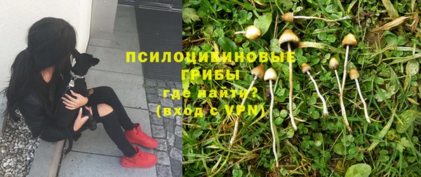 прущий лед Магас