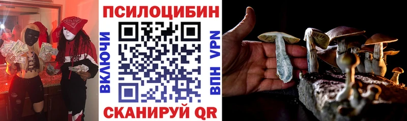 нарко площадка клад  сколько стоит  Буй  Галлюциногенные грибы Psilocybe 